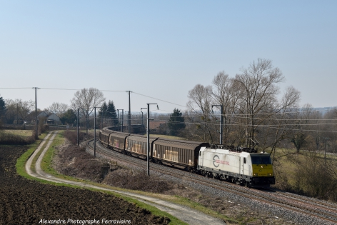 BR 186-315-8 Euro Cargo rail La BR 186-315-8  assure un long fret avec des Wagons tolé
Clermont-Lille