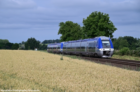 UM d'X76500 dans les blés  l'UM2 d'X 76500 reliant Clermont-Ferrand à Lyon Perrache traverse Magnet aux abord de champ de blé