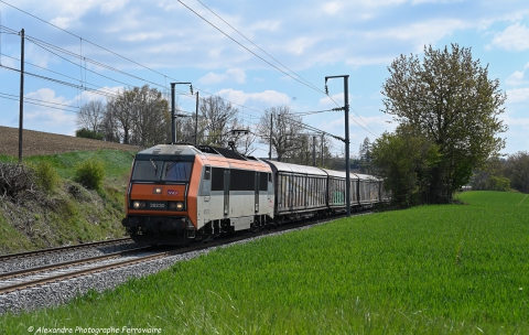 BB 26230 TRI-FEUX La BB 26230 assure le train de flotte charger en eau entre Clermont et Villeneuve St Georges