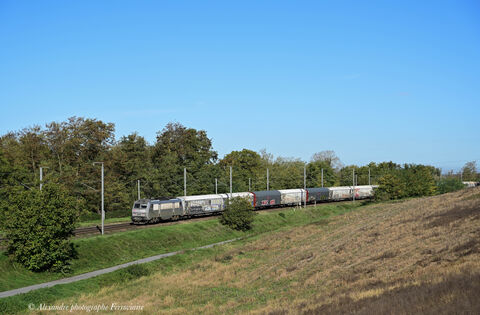 BB 26135 Grise Train Villeneuve-Clermont pour la BB 26135 en livrée grise ou fantôme.