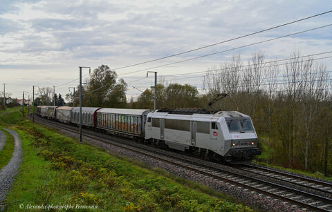 BB 26122 grise La BB 26122 en livrée grise assure le train de flotte régulier du dimanche