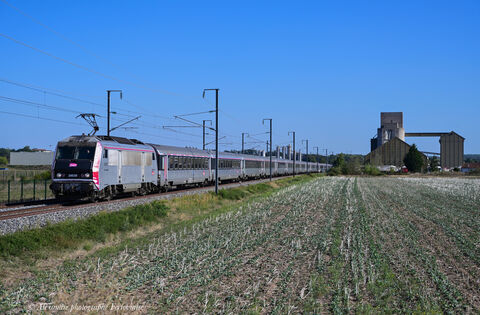 IC 5978 BB 26039 C'est sous une chaleur écrasante que l'IC n°5978 Clermont-Paris Bercy passe sous mon objectif laissant derrière lui la coopérative agricole de Varennes/Allier