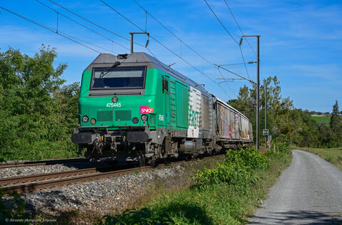 BB 75445 FRET C'est avec un peu de retard que ce présente la 75445 en livrée fret assurant le train n° 75049 reliant Villeneuve St Georges à Clermont-Ferrand
