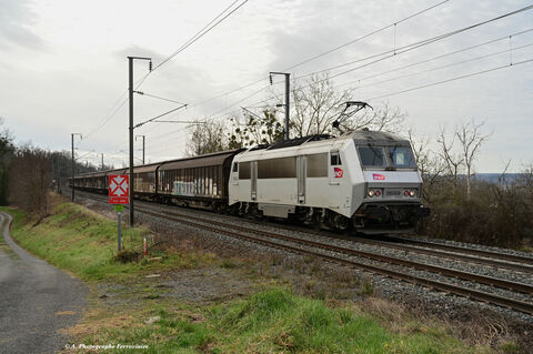 BB 26059 grise Train n°75032 Clermont-Vaires Torcy avec en tête d'une longue rame la 26059 grise